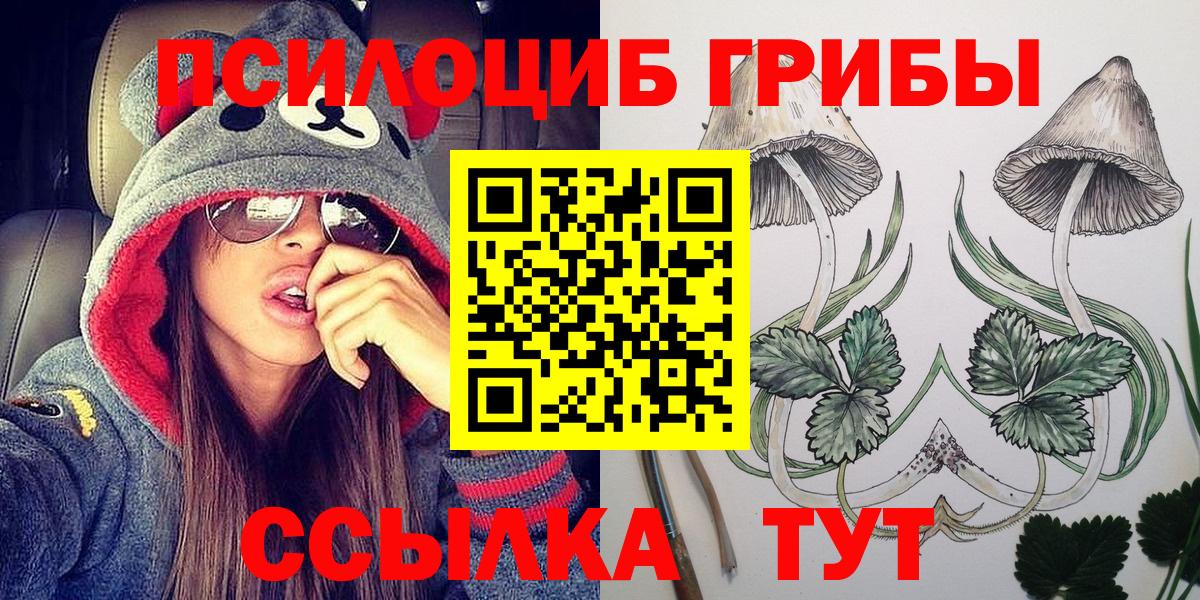 Псилоцибиновые грибы Cubensis  Вход с VPN  Усть-Джегута  Галлюциногенные грибы MAGIC MUSHROOMS 